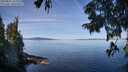 ./images/koeye/fitz-hugh/20250821/fitz-hugh20250821_104011M.jpg