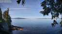 ./images/koeye/fitz-hugh/20250821/fitz-hugh20250821_104511M.jpg