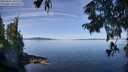 ./images/koeye/fitz-hugh/20250821/fitz-hugh20250821_105510M.jpg