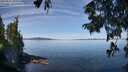 ./images/koeye/fitz-hugh/20250821/fitz-hugh20250821_110012M.jpg