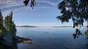 ./images/koeye/fitz-hugh/20250821/fitz-hugh20250821_111010M.jpg