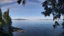 ./images/koeye/fitz-hugh/20250821/fitz-hugh20250821_111512M.jpg