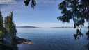 ./images/koeye/fitz-hugh/20250821/fitz-hugh20250821_112010M.jpg