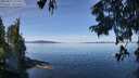 ./images/koeye/fitz-hugh/20250821/fitz-hugh20250821_112513M.jpg