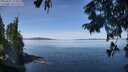./images/koeye/fitz-hugh/20250821/fitz-hugh20250821_113510M.jpg