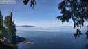 ./images/koeye/fitz-hugh/20250821/fitz-hugh20250821_114010M.jpg