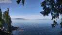 ./images/koeye/fitz-hugh/20250821/fitz-hugh20250821_114509M.jpg