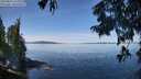 ./images/koeye/fitz-hugh/20250821/fitz-hugh20250821_115011M.jpg
