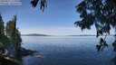 ./images/koeye/fitz-hugh/20250821/fitz-hugh20250821_115511M.jpg