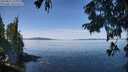 ./images/koeye/fitz-hugh/20250821/fitz-hugh20250821_120011M.jpg