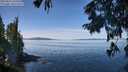 ./images/koeye/fitz-hugh/20250821/fitz-hugh20250821_120510M.jpg