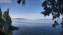 ./images/koeye/fitz-hugh/20250821/fitz-hugh20250821_121011M.jpg