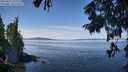 ./images/koeye/fitz-hugh/20250821/fitz-hugh20250821_122011M.jpg