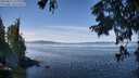 ./images/koeye/fitz-hugh/20250821/fitz-hugh20250821_123011M.jpg