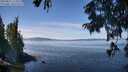 ./images/koeye/fitz-hugh/20250821/fitz-hugh20250821_123509M.jpg