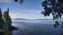 ./images/koeye/fitz-hugh/20250821/fitz-hugh20250821_124011M.jpg