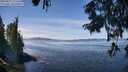 ./images/koeye/fitz-hugh/20250821/fitz-hugh20250821_124511M.jpg