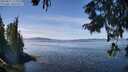 ./images/koeye/fitz-hugh/20250821/fitz-hugh20250821_125011M.jpg