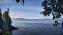 ./images/koeye/fitz-hugh/20250821/fitz-hugh20250821_125509M.jpg