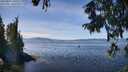 ./images/koeye/fitz-hugh/20250821/fitz-hugh20250821_130509M.jpg