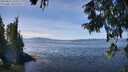 ./images/koeye/fitz-hugh/20250821/fitz-hugh20250821_131009M.jpg