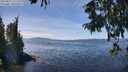 ./images/koeye/fitz-hugh/20250821/fitz-hugh20250821_131511M.jpg