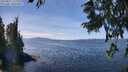 ./images/koeye/fitz-hugh/20250821/fitz-hugh20250821_132011M.jpg