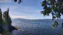 ./images/koeye/fitz-hugh/20250821/fitz-hugh20250821_132514M.jpg