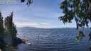 ./images/koeye/fitz-hugh/20250821/fitz-hugh20250821_133012M.jpg
