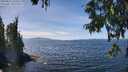 ./images/koeye/fitz-hugh/20250821/fitz-hugh20250821_133509M.jpg