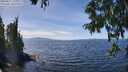 ./images/koeye/fitz-hugh/20250821/fitz-hugh20250821_134010M.jpg