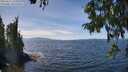 ./images/koeye/fitz-hugh/20250821/fitz-hugh20250821_134511M.jpg