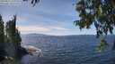 ./images/koeye/fitz-hugh/20250821/fitz-hugh20250821_135011M.jpg