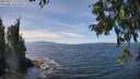 ./images/koeye/fitz-hugh/20250821/fitz-hugh20250821_135508M.jpg