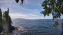 ./images/koeye/fitz-hugh/20250821/fitz-hugh20250821_140012M.jpg