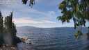 ./images/koeye/fitz-hugh/20250821/fitz-hugh20250821_140510M.jpg