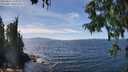 ./images/koeye/fitz-hugh/20250821/fitz-hugh20250821_141011M.jpg