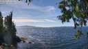 ./images/koeye/fitz-hugh/20250821/fitz-hugh20250821_141509M.jpg