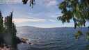 ./images/koeye/fitz-hugh/20250821/fitz-hugh20250821_142513M.jpg