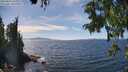 ./images/koeye/fitz-hugh/20250821/fitz-hugh20250821_143010M.jpg