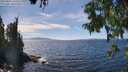 ./images/koeye/fitz-hugh/20250821/fitz-hugh20250821_143508M.jpg