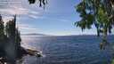 ./images/koeye/fitz-hugh/20250821/fitz-hugh20250821_150011M.jpg