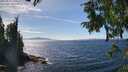 ./images/koeye/fitz-hugh/20250821/fitz-hugh20250821_150510M.jpg