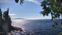 ./images/koeye/fitz-hugh/20250821/fitz-hugh20250821_153011M.jpg