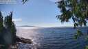 ./images/koeye/fitz-hugh/20250821/fitz-hugh20250821_153510M.jpg