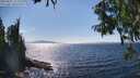 ./images/koeye/fitz-hugh/20250821/fitz-hugh20250821_154011M.jpg