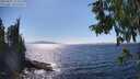 ./images/koeye/fitz-hugh/20250821/fitz-hugh20250821_154511M.jpg