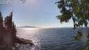 ./images/koeye/fitz-hugh/20250821/fitz-hugh20250821_155009M.jpg