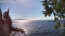 ./images/koeye/fitz-hugh/20250821/fitz-hugh20250821_155510M.jpg