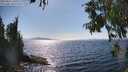 ./images/koeye/fitz-hugh/20250821/fitz-hugh20250821_160510M.jpg
